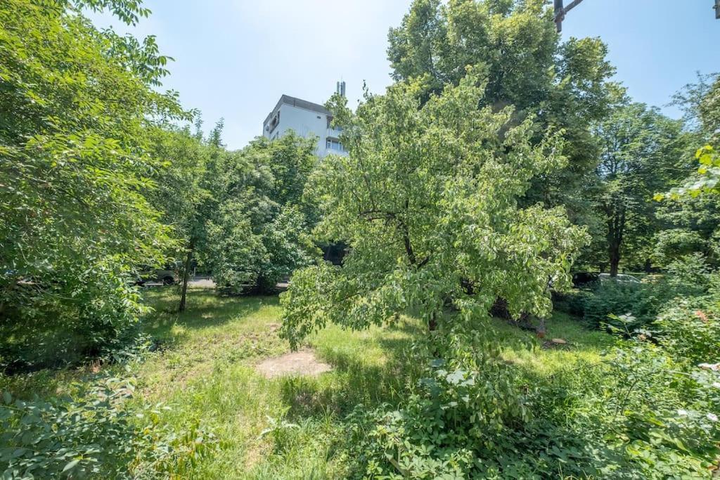 Top Location, Brand New 3 Bdrm Apt & Free Parking Sofia Exterior photo